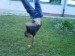 DSC01212.JPG
